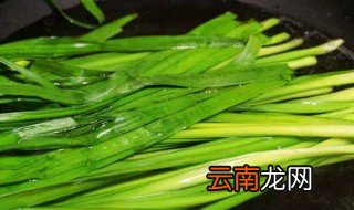 韭菜能喷醋吗 原来这么可怕