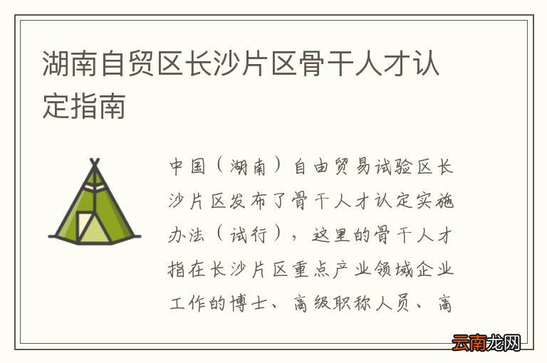 湖南自贸区长沙片区骨干人才认定指南