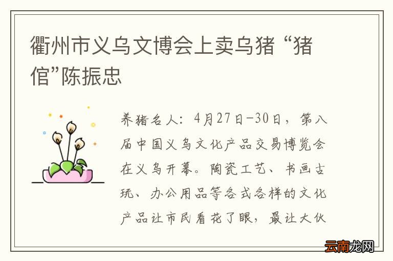 衢州市义乌文博会上卖乌猪 “猪倌”陈振忠