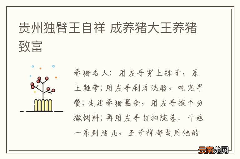 贵州独臂王自祥 成养猪大王养猪致富