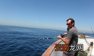 11月海钓什么鱼 11月海钓可以钓到的鱼