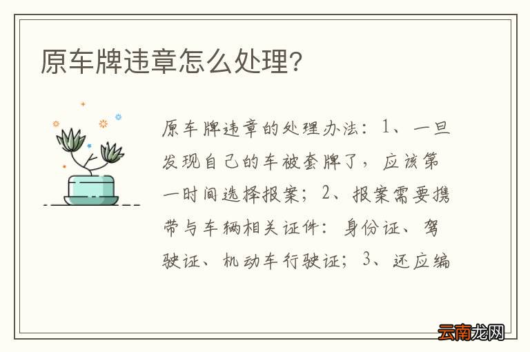 原车牌违章怎么处理?