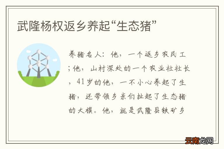 武隆杨权返乡养起“生态猪”