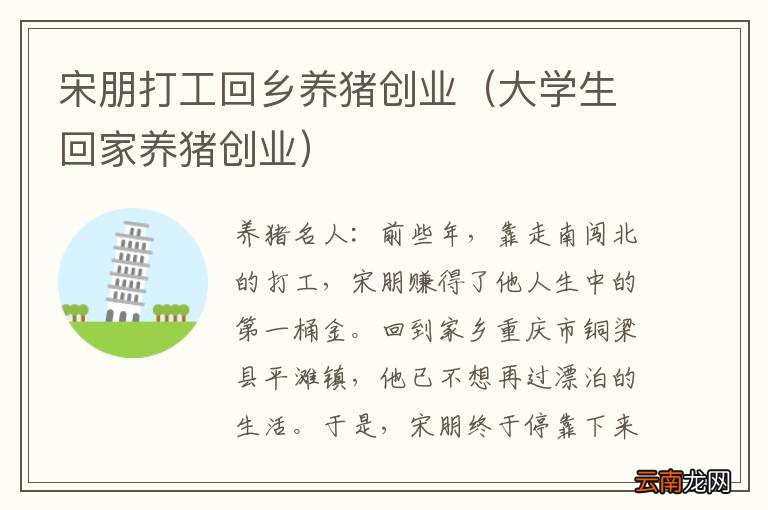 大学生回家养猪创业 宋朋打工回乡养猪创业