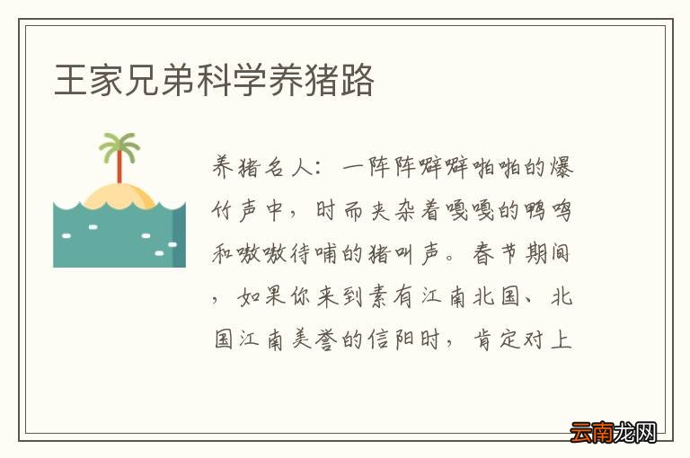 王家兄弟科学养猪路
