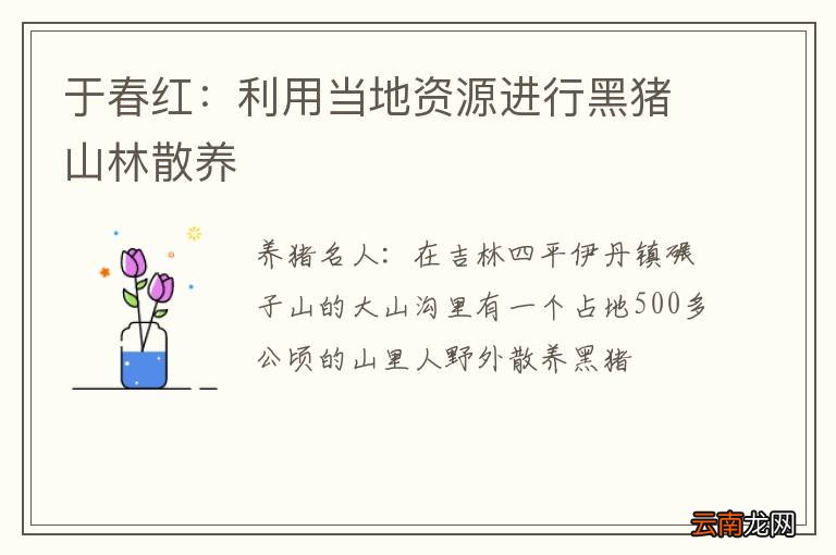 于春红：利用当地资源进行黑猪山林散养