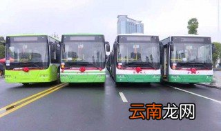 怎样下载厦门公交app 你可以这样做