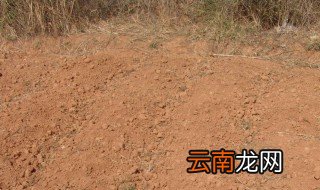 大田土壤板结怎么办 经验内容仅供参考