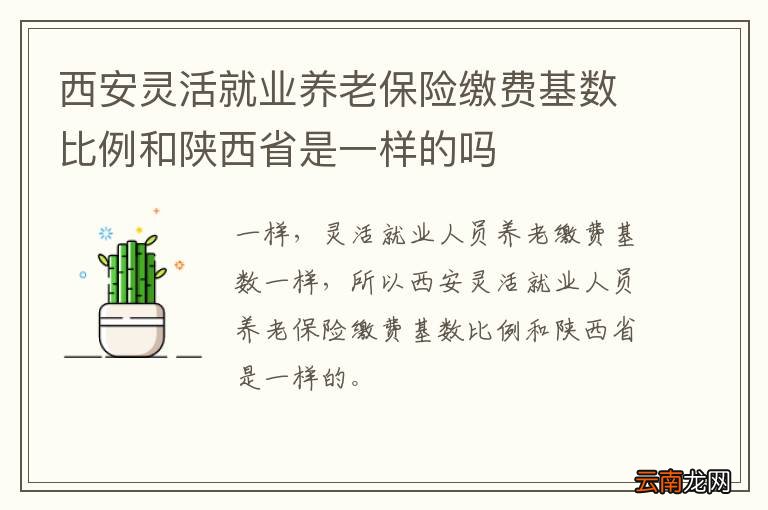 西安灵活就业养老保险缴费基数比例和陕西省是一样的吗