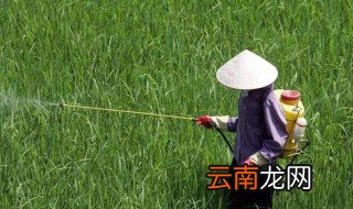 最毒的农药叫什么 简单介绍一下