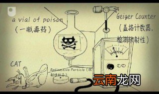 薛定谔的猫隐喻什么 薛定谔的猫是什么意思