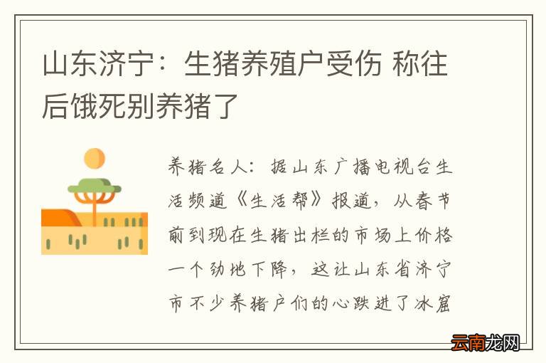 山东济宁：生猪养殖户受伤 称往后饿死别养猪了