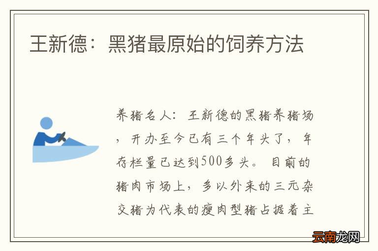 王新德：黑猪最原始的饲养方法