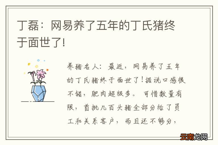 丁磊：网易养了五年的丁氏猪终于面世了!