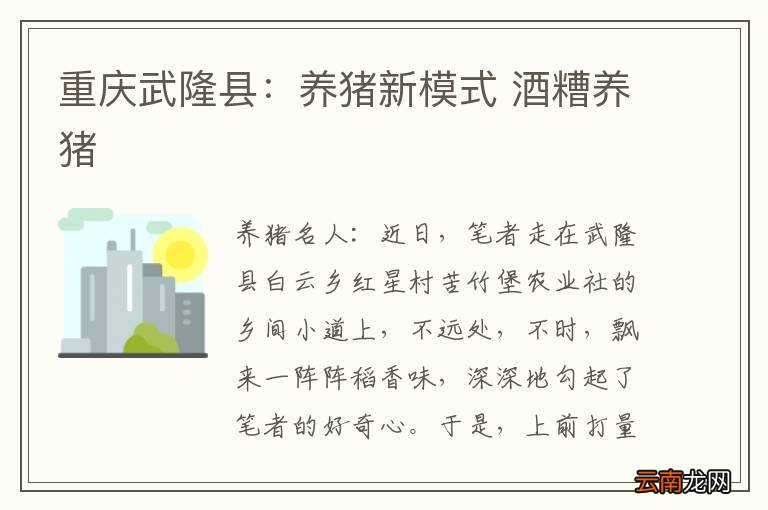 重庆武隆县：养猪新模式 酒糟养猪