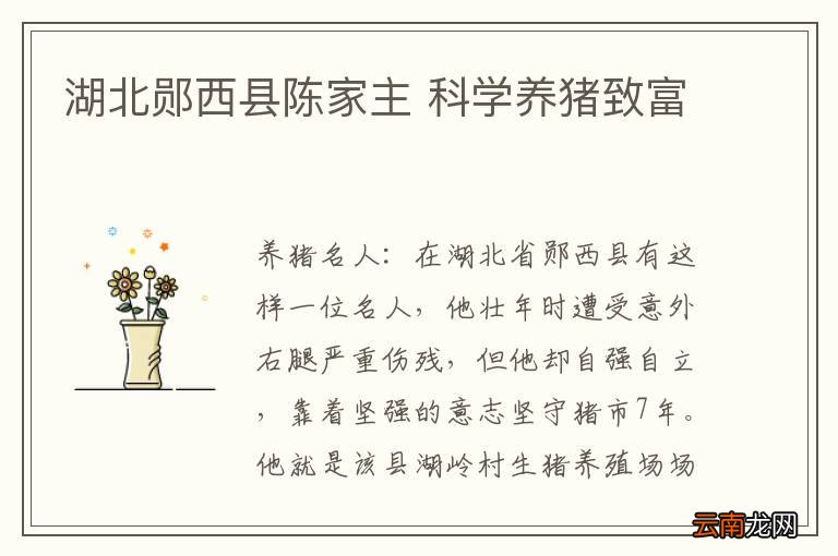 湖北郧西县陈家主 科学养猪致富