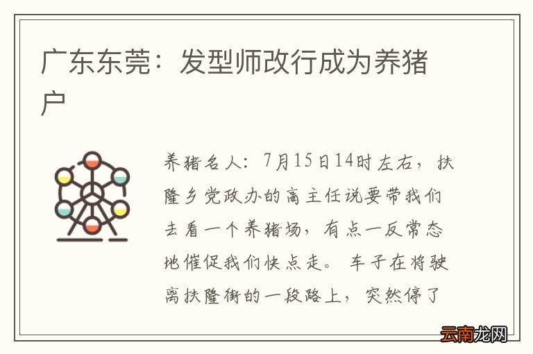 广东东莞：发型师改行成为养猪户