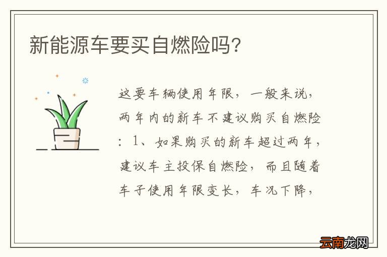 新能源车要买自燃险吗?