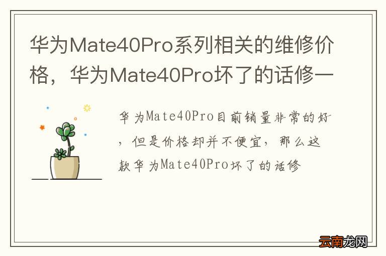 华为Mate40Pro系列相关的维修价格，华为Mate40Pro坏了的话修一下要多少钱