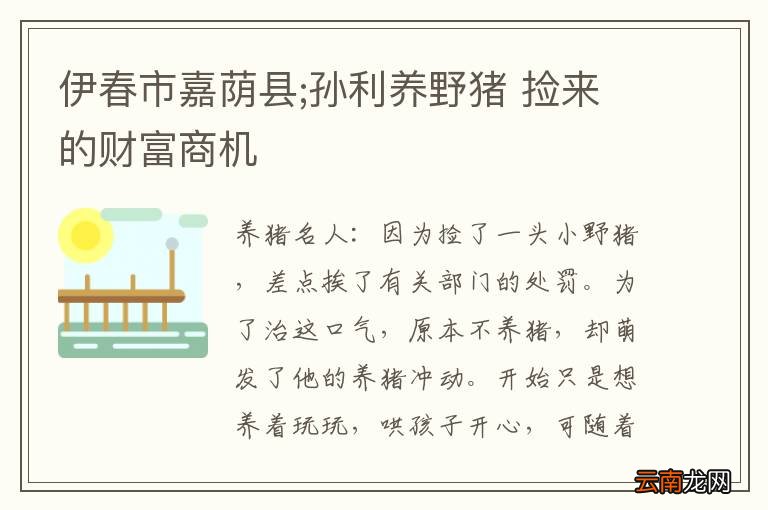 伊春市嘉荫县;孙利养野猪 捡来的财富商机