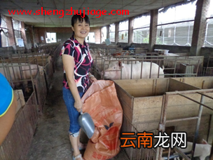 刘静：一个中国典型的家庭规模猪场