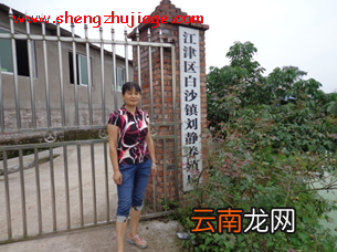 刘静：一个中国典型的家庭规模猪场