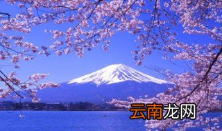 移民到日本的条件 疑难解答