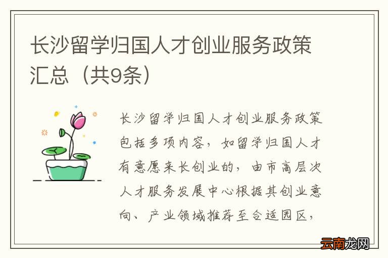 共9条 长沙留学归国人才创业服务政策汇总