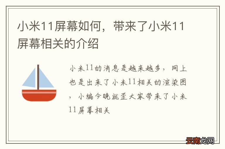 小米11屏幕如何，带来了小米11屏幕相关的介绍
