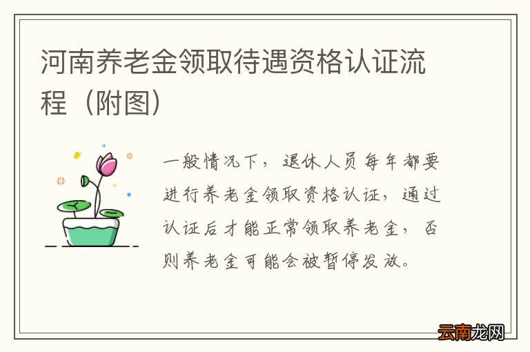 附图 河南养老金领取待遇资格认证流程