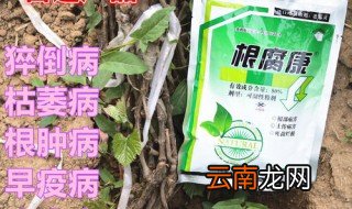 烂树根用什么药最好 让树起死回生