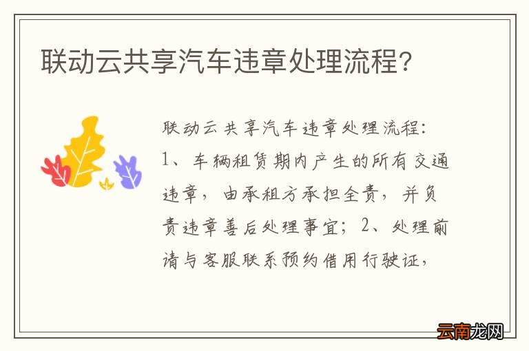 联动云共享汽车违章处理流程?