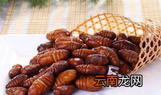 吃蚕蛹的禁忌 蚕蛹的饮食禁忌有哪些