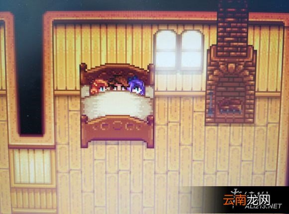 《星露谷物语 / 像素谷》娶非单身NPC及NPC进入家的玩法教程