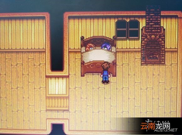 《星露谷物语 / 像素谷》娶非单身NPC及NPC进入家的玩法教程