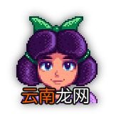 《星露谷物语 / 像素谷》全NPC生日、住址、喜好及厌恶物品指南 卡洛琳