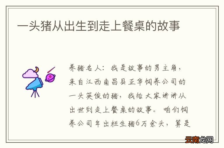 一头猪从出生到走上餐桌的故事