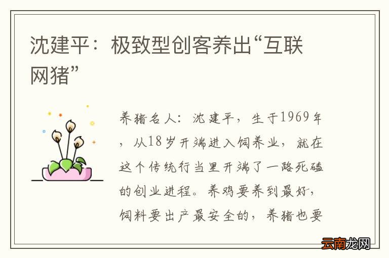 沈建平：极致型创客养出“互联网猪”