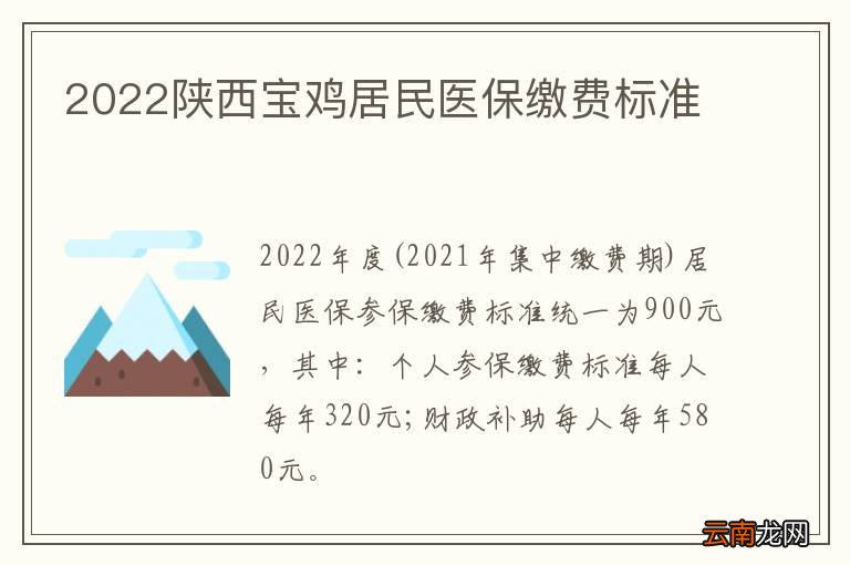 2022陕西宝鸡居民医保缴费标准
