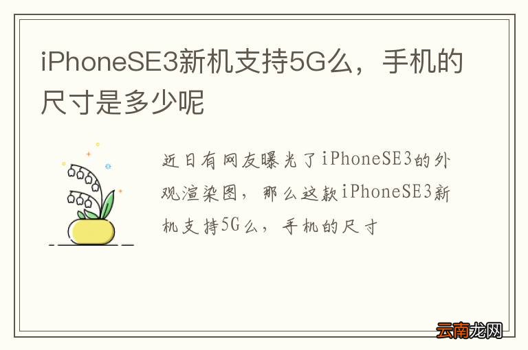 iPhoneSE3新机支持5G么，手机的尺寸是多少呢