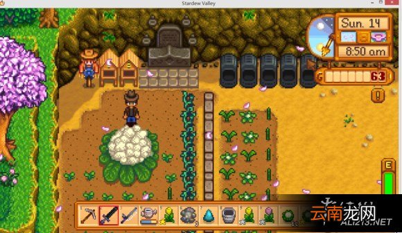 《星露谷物语 / 像素谷》巨型植物种植及收获方法解析攻略