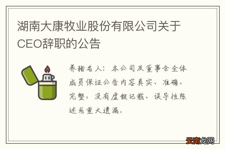 湖南大康牧业股份有限公司关于CEO辞职的公告