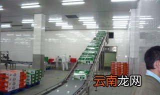 食品厂如何打开市场 教你做好这些工作