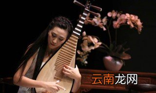 琵琶指法技巧 学会了吗