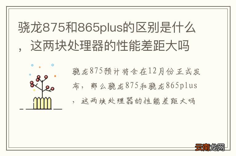 骁龙875和865plus的区别是什么，这两块处理器的性能差距大吗