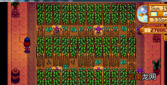 《星露谷物语 / 像素谷》温室种植利益最大化玩法解析攻略