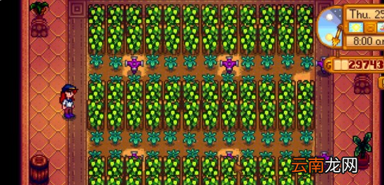 《星露谷物语 / 像素谷》温室种植利益最大化玩法解析攻略