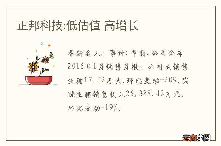 正邦科技:低估值 高增长