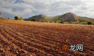 宅基地纠纷找谁 宅基地处理人员