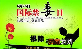 我国禁毒工作的法治之策是什么 你知道吗